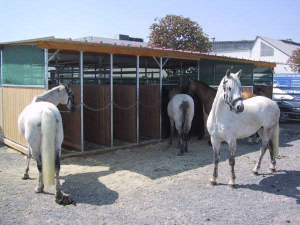 MHO - Offenstall für 4 Pferde