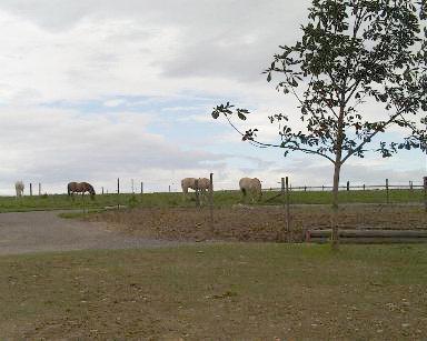 pferdehof05.jpg (23631 Byte)