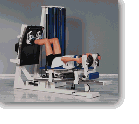 fitnes4.gif (264634 Byte)